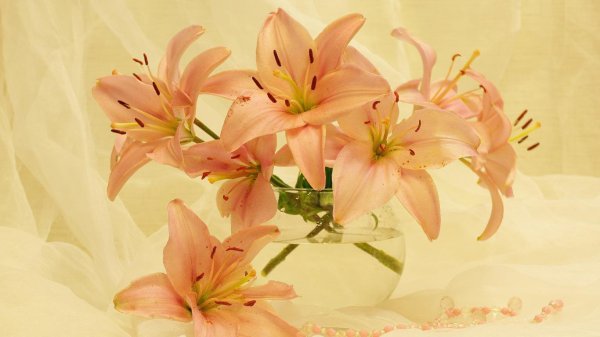 фон с лилиями