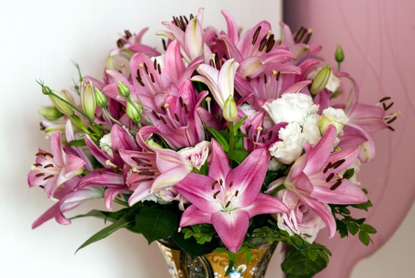 лилия эмпресс