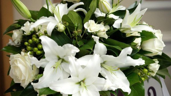 вайт роуз лилия