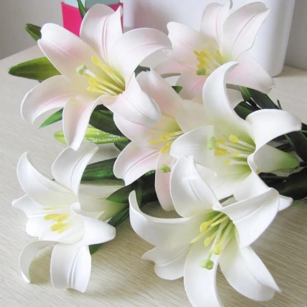 белая лилия