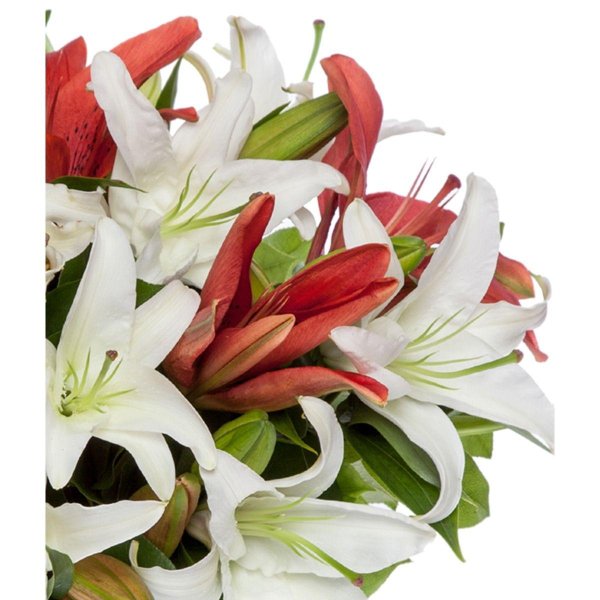 букет лилии
