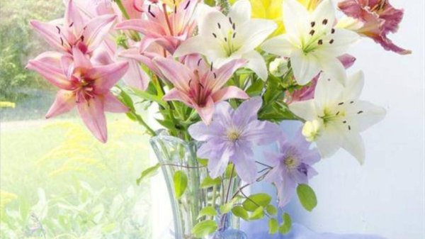 цветок лилии