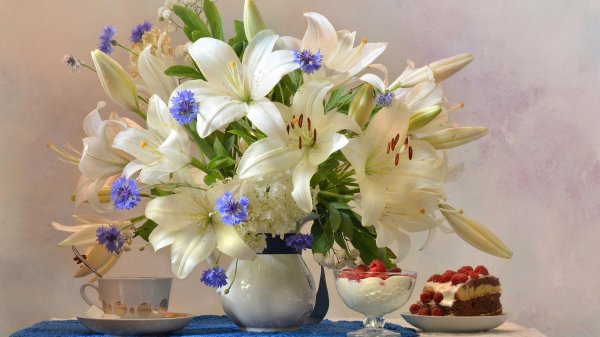 красивые натюрморты
