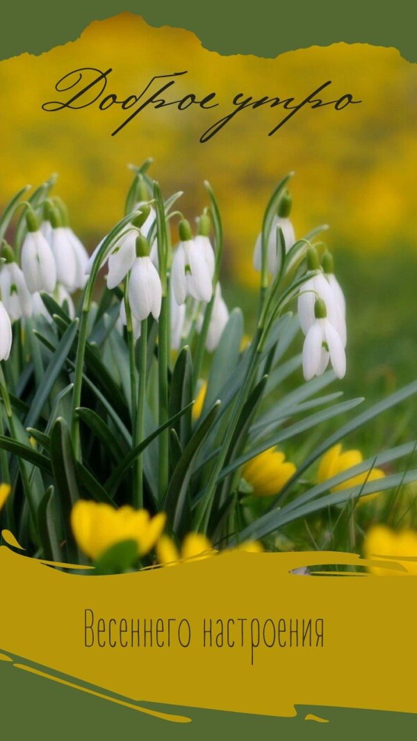 весенние цветы