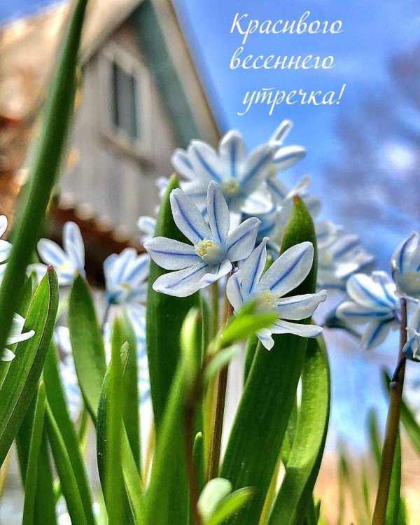 добрейшего весеннего утра