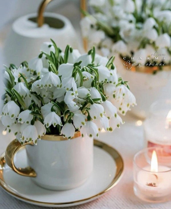 весенние цветы