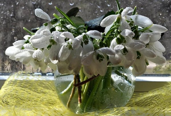 весенний букет подснежников