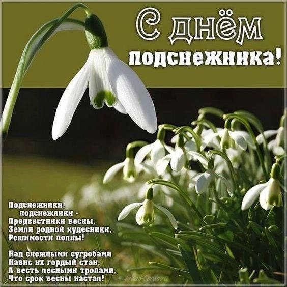 день подснежника