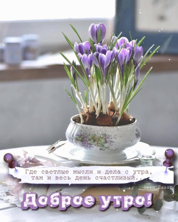 добрейшего весеннего утра