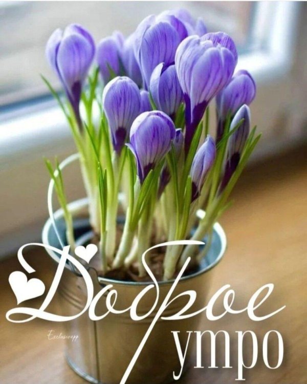 добрейшего весеннего утра