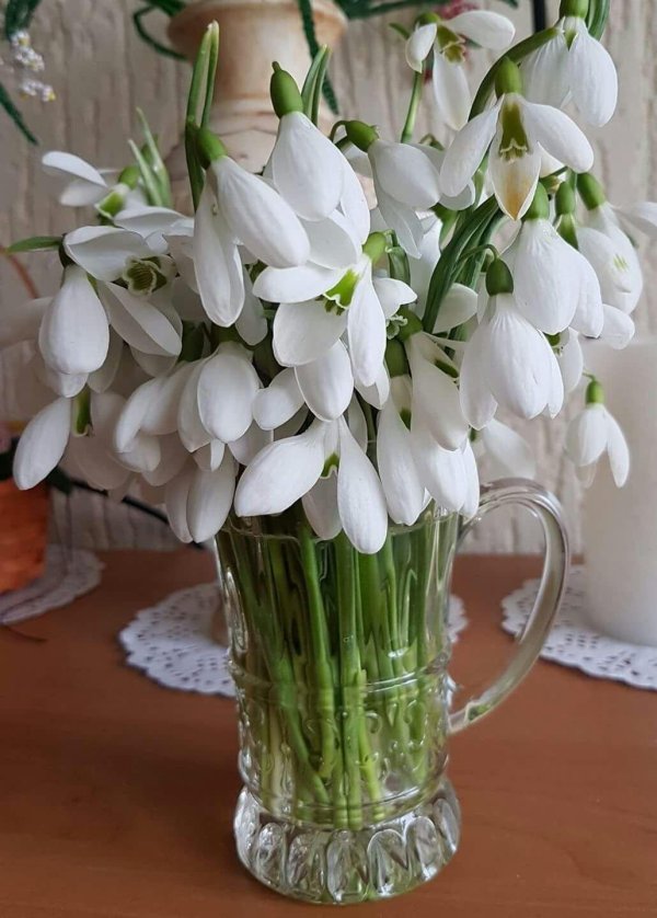 весенний букет подснежников