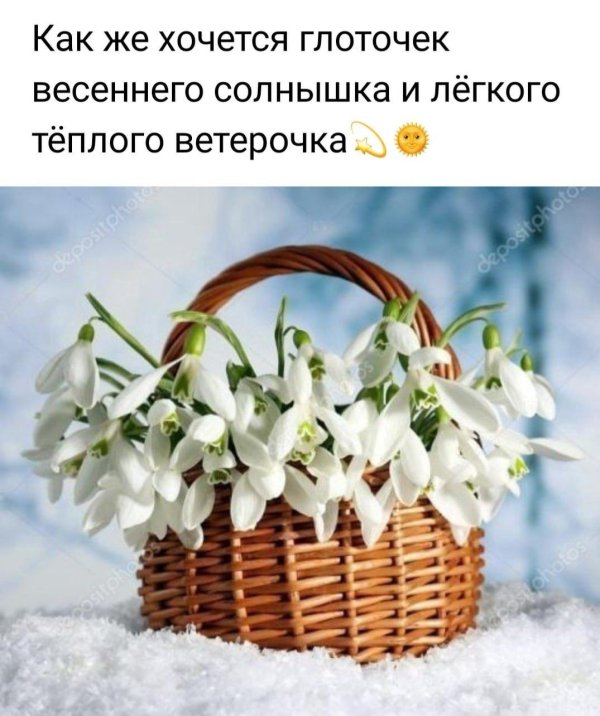 корзина подснежников