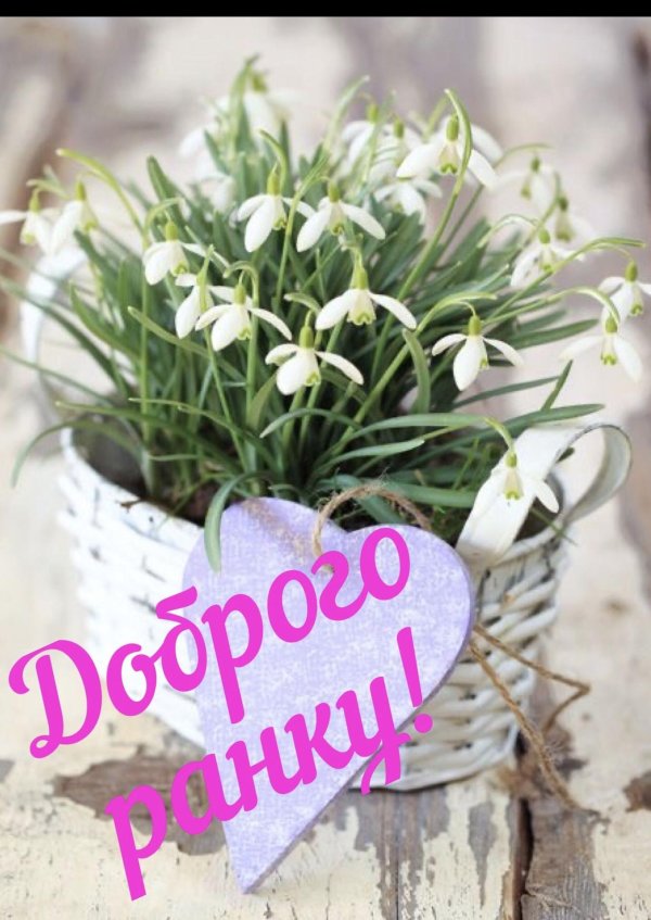 корзина подснежников