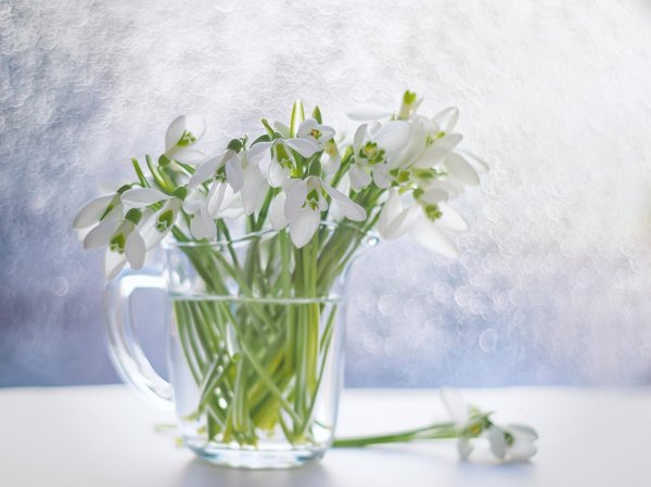 весенний букет подснежников