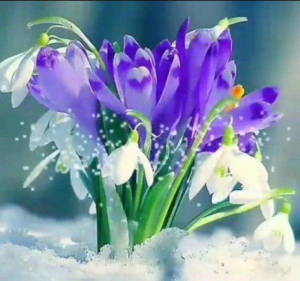 весенние открытки