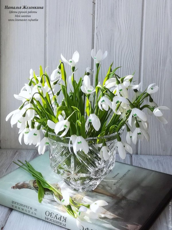 цветок подснежник