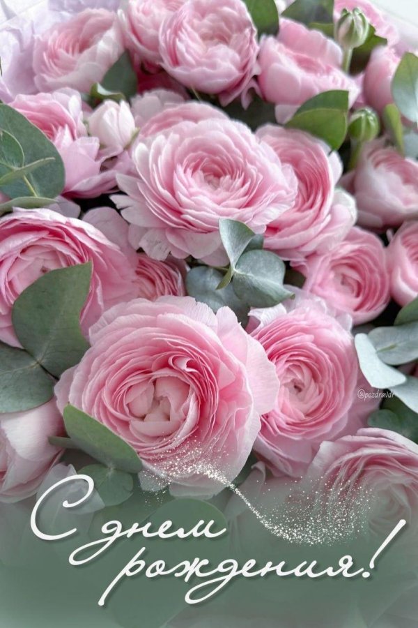 красивое поздравление с днем рождения