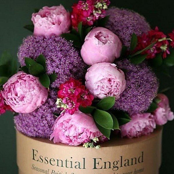 красивые букеты пионов