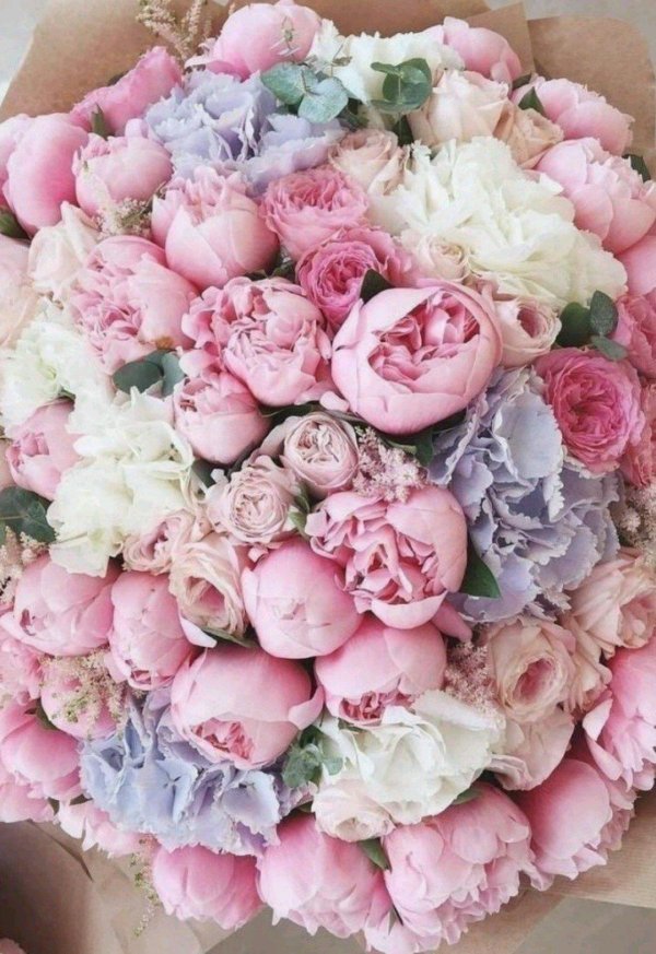 букетище пионов