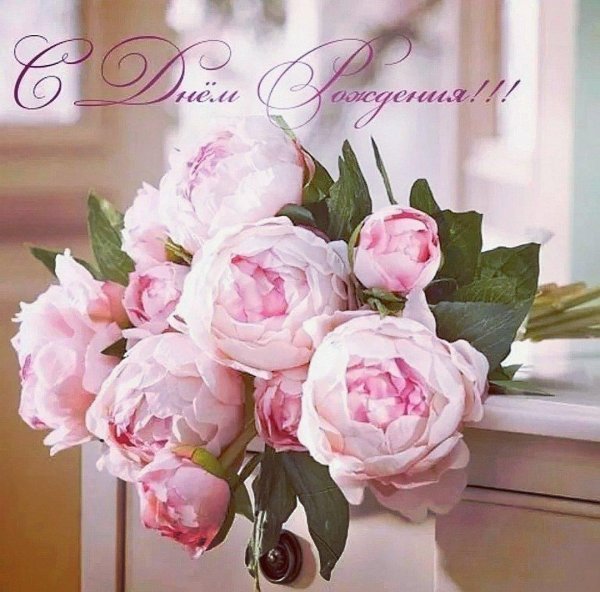 пионы нежные