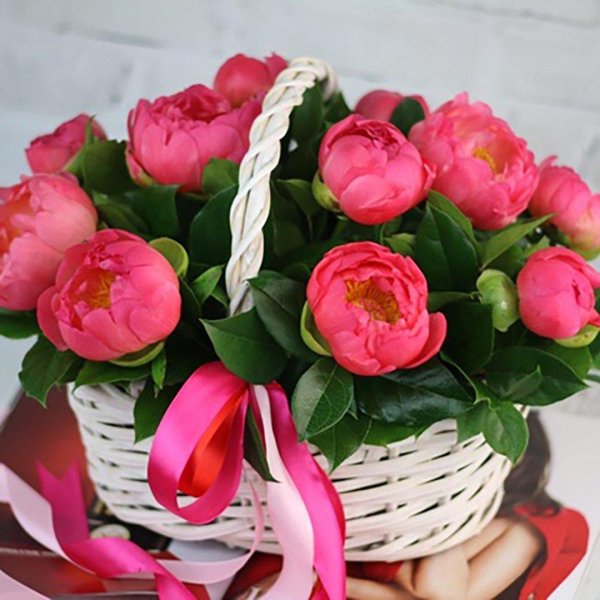 корзина пионов