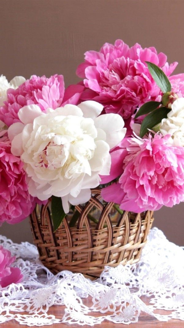 елизавета яшина нежные пионы