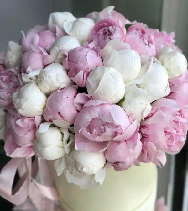 стильные цветы