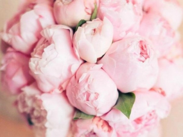 букет нежно розовый