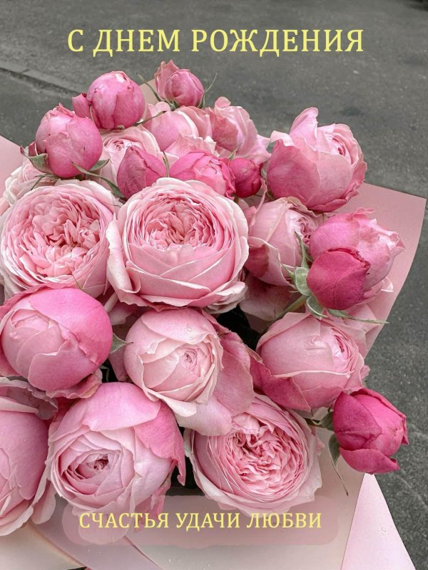 пионовидная роза