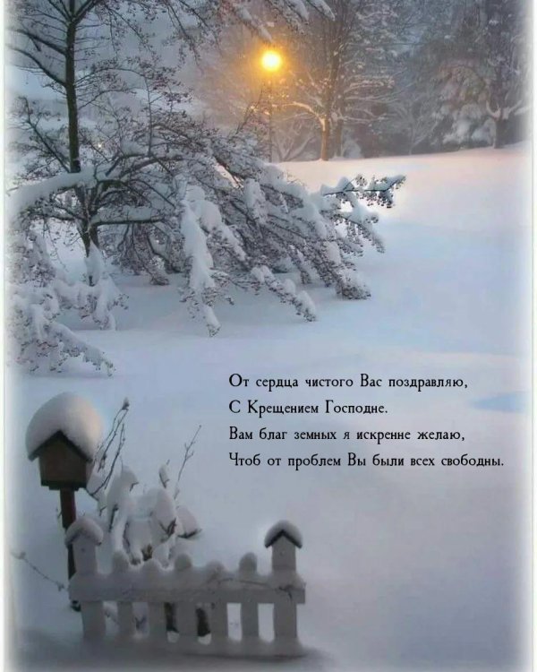 зимние пейзаж