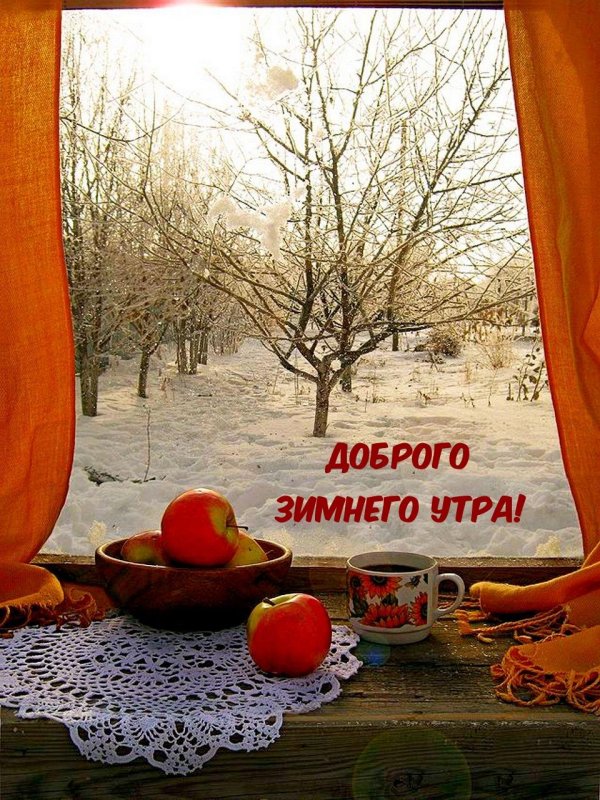 у зимнего окна