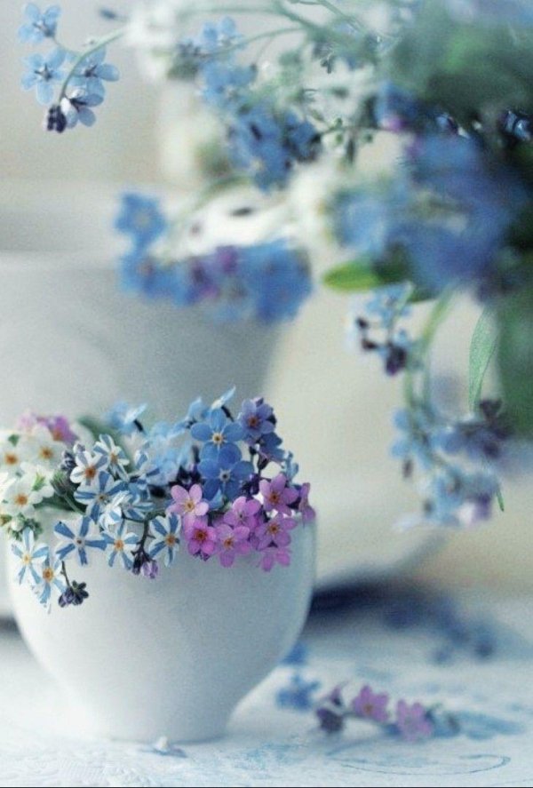 чашка незабудки