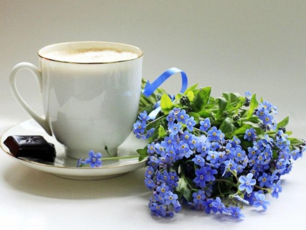 цветы в чашке