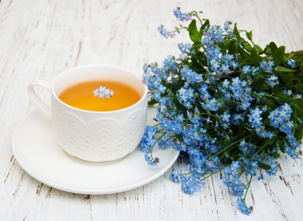 чашка незабудки