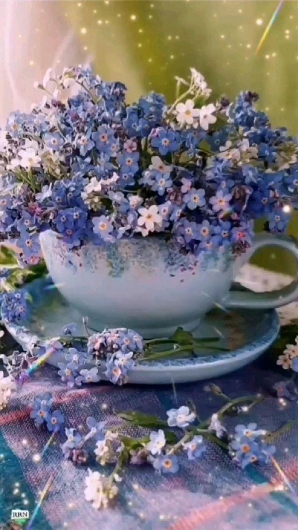 красивый букет незабудок