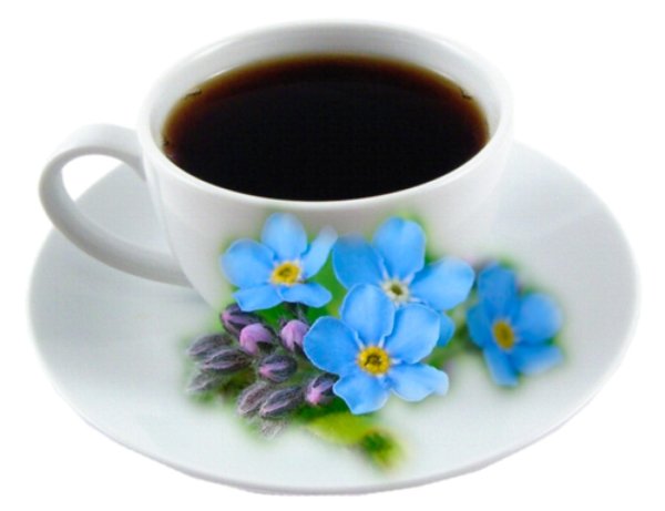 цикорий в чашке