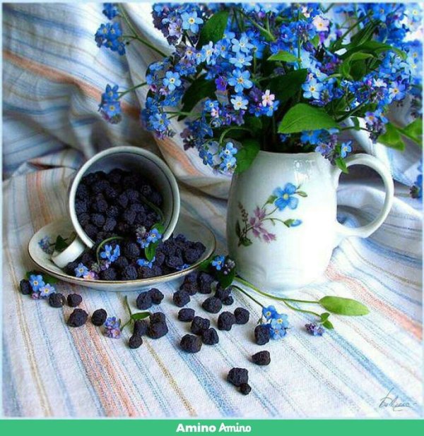 натюрморт с незабудками