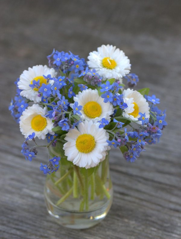 букет ромашек