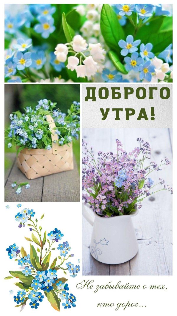 открытки с добрым утром с незабудками