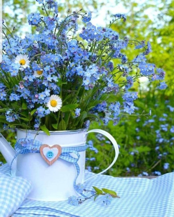 доброго утра полевые цветы