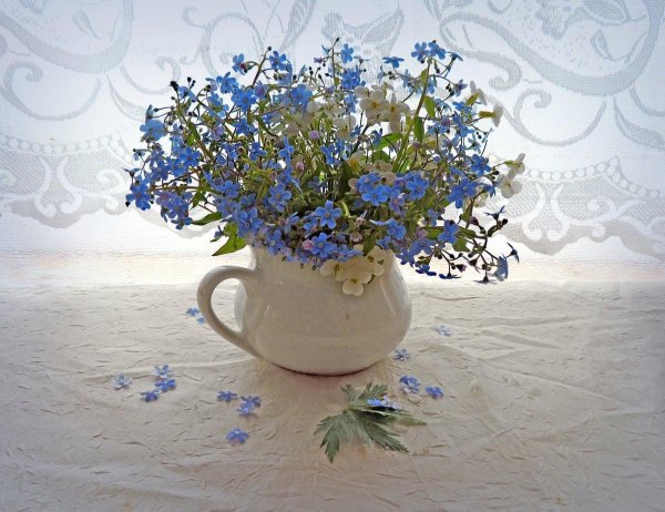 красивый букет из незабудок