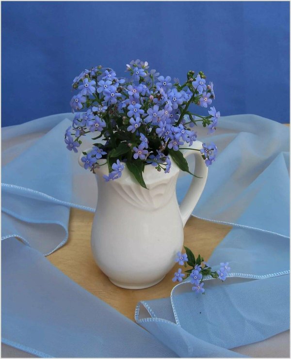 цветы в кувшине