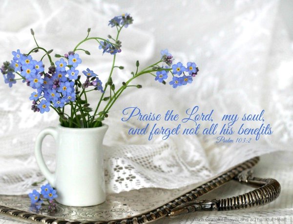 открытка с незабудками