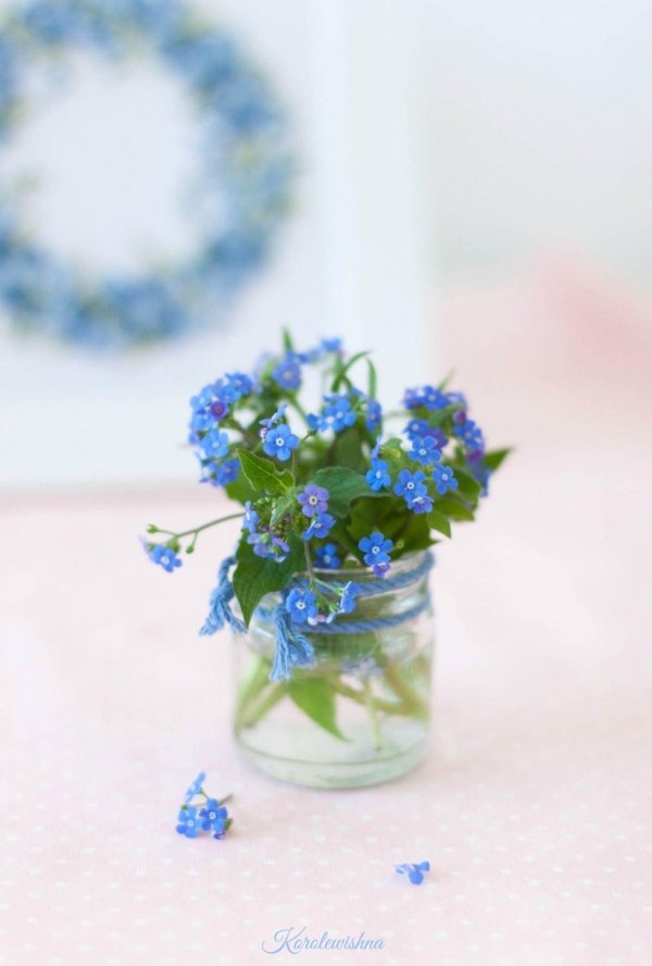 композиции с незабудками