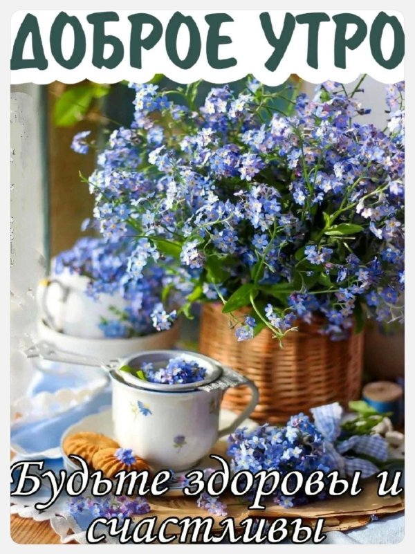 открытки с добрым утром с незабудками