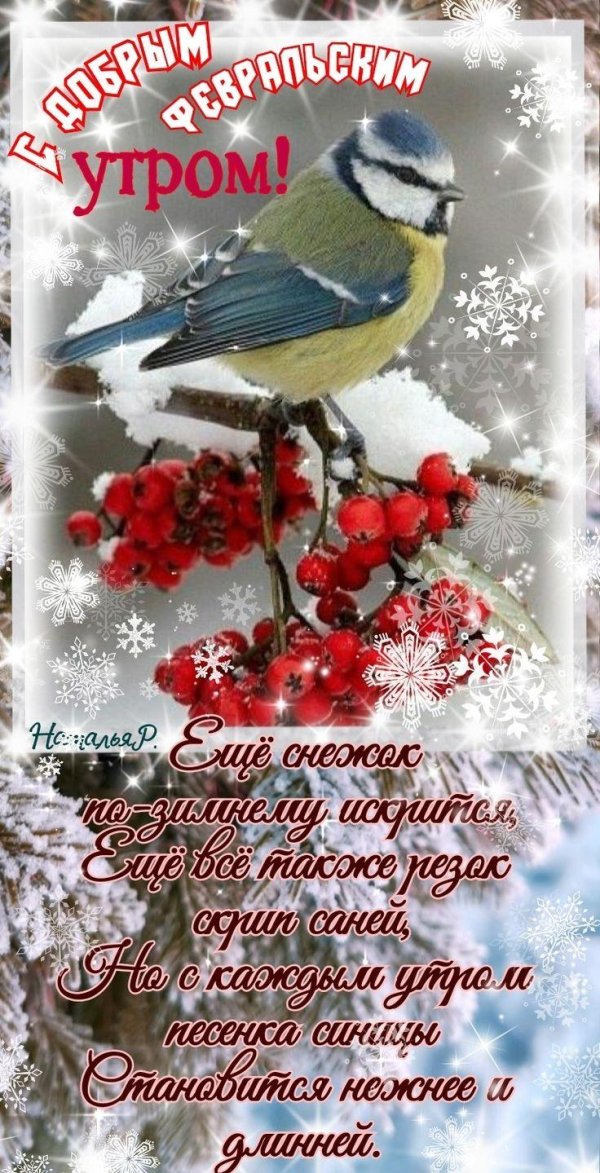 февральское утро доброе