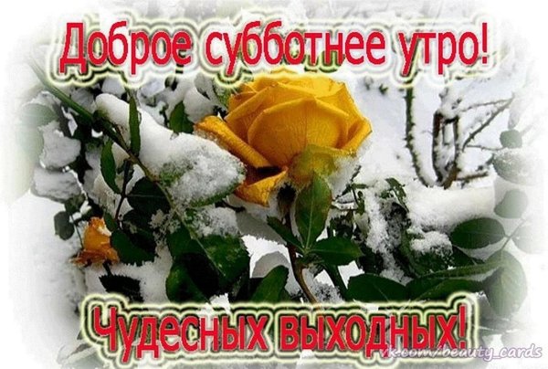 доброго зимнего субботнего утра