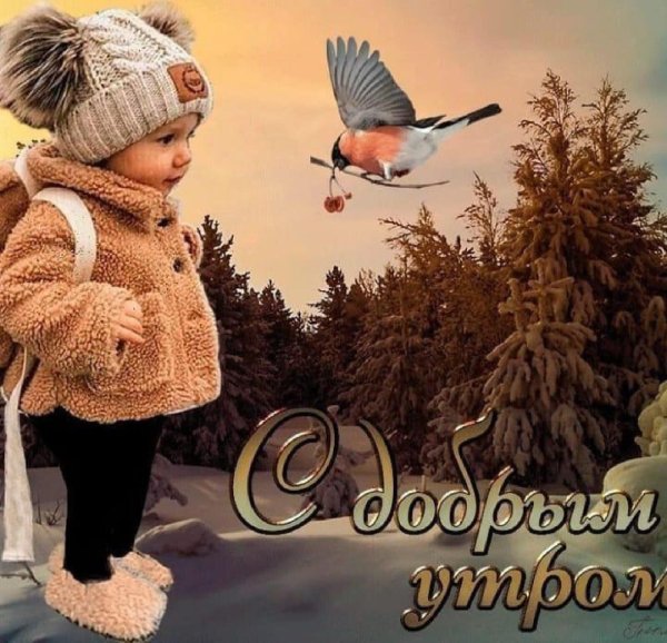 утра доброго зимнего