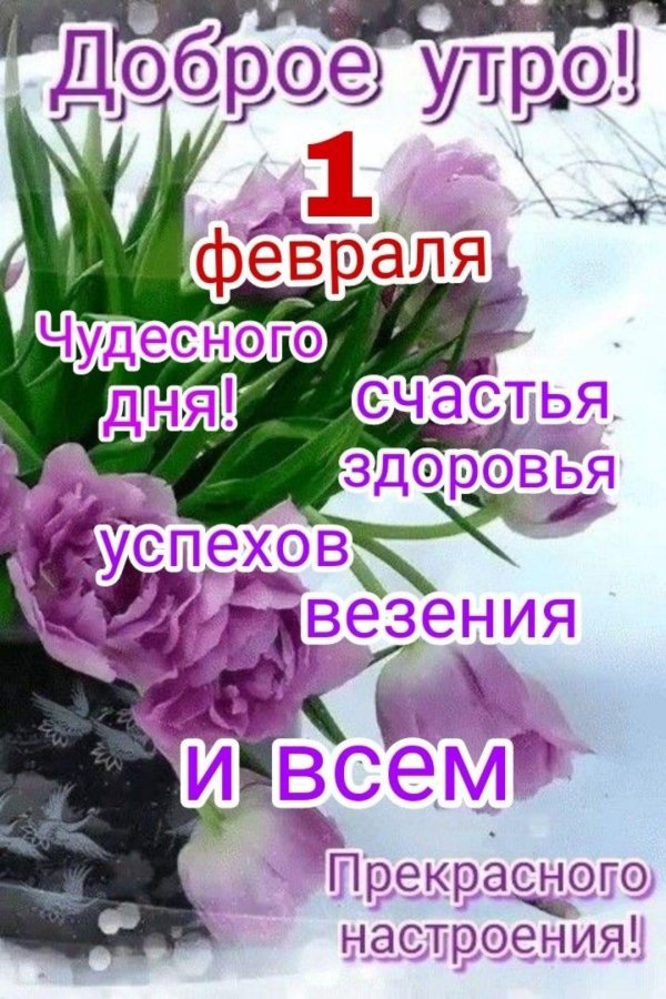 доброе утро добрых вестей