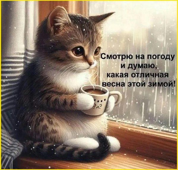 очаровательные котята